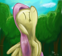 Size: 2000x1800 | Tagged: safe, artist:wafflecannon, fluttershy, g4, female, solo