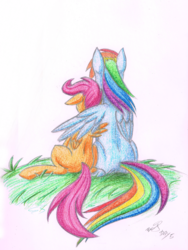 Size: 1000x1331 | Tagged: safe, artist:benjik, rainbow dash, scootaloo, pegasus, pony, g4, female, filly, floppy ears, foal, grass, hug, mare, rear view, scootalove, signature, simple background, sitting, spread wings, traditional art, white background, winghug, wings