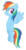 Size: 1129x2208 | Tagged: safe, artist:masterrottweiler, rainbow dash, g4, female, simple background, solo, transparent background, vector