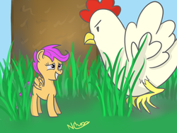 Size: 1600x1200 | Tagged: safe, artist:cwossie, scootaloo, chicken, g4, meme, miniature pony, scootachicken