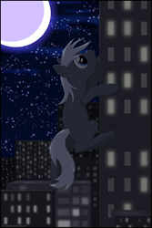 Size: 2000x3000 | Tagged: safe, artist:stinkehund, earth pony, pony, city, night, solo