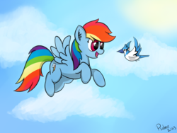 Size: 2000x1500 | Tagged: safe, artist:psalmie, rainbow dash, g4, cloud, female, flying, sky, solo