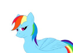 Size: 3300x2400 | Tagged: safe, artist:eccentric bloodstone, rainbow dash, g4, female, solo