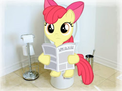 Size: 1023x767 | Tagged: dead source, safe, artist:trixiepixel1456, apple bloom, g4, 1000 years in photoshop, bathroom, but why, female, filly, foal, implied pooping, irl, newspaper, photo, ponies in real life, potty, potty time, sitting on toilet, solo, toilet