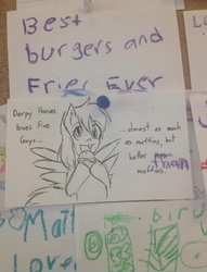 Size: 500x655 | Tagged: safe, derpy hooves, pegasus, pony, g4, female, five guys, grammar nazi, info board, mare