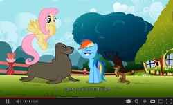 Size: 640x390 | Tagged: safe, screencap, fluttershy, rainbow dash, sea lion, seal, g4, may the best pet win, do not want, meme, youtube, youtube caption