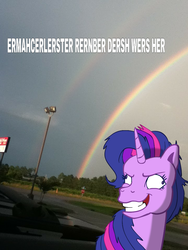 Size: 720x960 | Tagged: safe, twilight sparkle, pony, g3, g4, derp, double rainbow, ermahgerd, female, g4 to g3, generation leap, image macro, irl, outdoors, photo, ponies in real life, solo, twilight snapple
