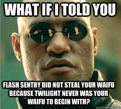 Size: 334x301 | Tagged: safe, flash sentry, twilight sparkle, g4, barely pony related, drama, exploitable meme, image macro, meme, meta, morpheus, savage, the matrix, twibrad drama, waifu, waifu thief, what if i told you