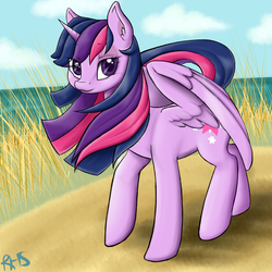 Size: 1500x1500 | Tagged: safe, twilight sparkle, alicorn, pony, g4, ask-sodia, beach, female, ocean, solo, twilight sparkle (alicorn)