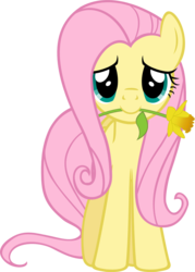 Size: 728x1015 | Tagged: safe, artist:zacatron94, fluttershy, pegasus, pony, g4, female, flower, mare, mouth hold, simple background, solo, transparent background