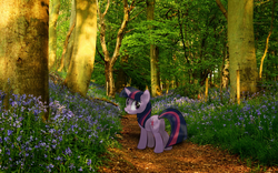 Size: 1920x1200 | Tagged: safe, artist:bryal, twilight sparkle, g4, forest, irl, photo, ponies in real life, solo