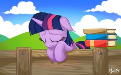 Size: 2560x1600 | Tagged: safe, artist:mysticalpha, twilight sparkle, pony, unicorn, g4, book, eyes closed, female, fence, floppy ears, frown, leaning, sad, solo, wallpaper