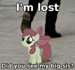 Size: 250x233 | Tagged: safe, artist:bryastar, apple bloom, g4, animated, caption, heart attack, hnnng, irl, lost, photo, ponies in real life, real heart attack, sad