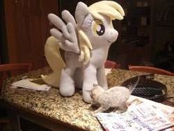 Size: 3648x2736 | Tagged: safe, artist:theculturewarrior, derpy hooves, cat, pegasus, pony, g4, female, irl, kitten, mare, photo, plushie