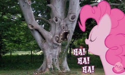 Size: 682x411 | Tagged: safe, pinkie pie, g4, hub logo, hubble, image macro, irl, laughter song, parody, photo, ponies in real life, text