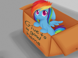 Size: 1024x768 | Tagged: safe, artist:chibimlp-lover, rainbow dash, pegasus, pony, fanfic:my little dashie, g4, :<, box, bronybait, cardboard box, colored pupils, cute, dashabetes, female, filly, filly rainbow dash, floppy ears, leaning, looking at you, looking up, looking up at you, mare, pony in a box, sad, solo