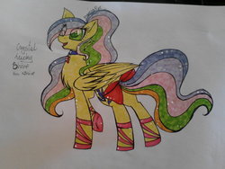 Size: 1024x768 | Tagged: safe, artist:tay-niko-yanuciq, oc, oc only, pegasus, pony, bow, collar, solo, tail bow