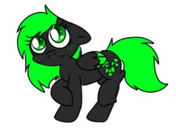 Size: 900x661 | Tagged: safe, artist:zanykat0, oc, oc only, pegasus, pony, solo