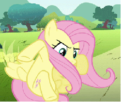 Size: 350x294 | Tagged: safe, screencap, fluttershy, g4, putting your hoof down, season 2, animated, female, nose in the air, reaction image, solo, yelling