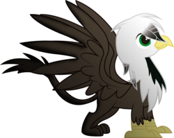 Size: 3586x2861 | Tagged: safe, artist:spectty, oc, oc only, griffon, solo