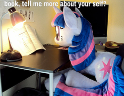 Size: 960x744 | Tagged: artist needed, safe, twilight sparkle, pony, g4, giant pony, image macro, irl, photo, plushie