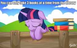 Size: 960x600 | Tagged: safe, artist:mysticalpha, twilight sparkle, g4, book, cloud, cloudy, eyes closed, female, fence, first world problems, floppy ears, hill, image macro, library, sad, sky, solo