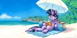Size: 2000x1000 | Tagged: safe, artist:kp-shadowsquirrel, twilight sparkle, pony, unicorn, g4, beach, book, cloud, female, looking at you, mare, sand, sky, smiling, solo