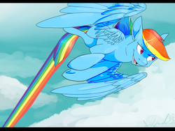 Size: 800x600 | Tagged: safe, artist:catnlp, rainbow dash, g4, female, flying, solo