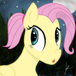 Size: 720x720 | Tagged: safe, fluttershy, g4, female, night, solo