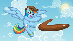 Size: 1191x670 | Tagged: safe, artist:dewlshock, rainbow dash, g4, boomerang, female, hat, solo