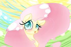 Size: 3000x1990 | Tagged: safe, artist:petalierre, fluttershy, g4, female, solo