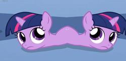 Size: 1066x519 | Tagged: safe, twilight sparkle, pony, unicorn, g4, budding, conjoined, conjoined twins, filly, filly twilight sparkle, frown, fusion, looking up, mitosis, pushmi-pullyu, twitwi (fusion), twiworm, two heads, wat, what has science done, younger