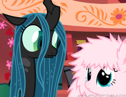 Size: 650x500 | Tagged: safe, queen chrysalis, oc, oc:fluffle puff, changeling, changeling queen, pony, tumblr:ask fluffle puff, g4, canon x oc, crying, female, golden oaks library, lesbian, ship:chrysipuff, shipping, teary eyes