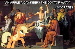 Size: 761x495 | Tagged: safe, applejack, g4, image macro, philosophy, quote, socrates