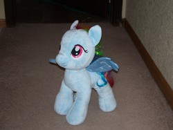 Size: 2560x1920 | Tagged: safe, rainbow dash, g4, build-a-bear, build-a-bear workshop, irl, photo, plushie, solo