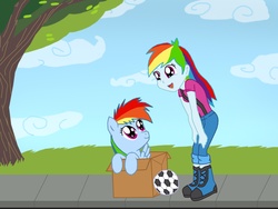 Size: 1600x1200 | Tagged: safe, artist:ferrokiva, rainbow dash, human, fanfic:my little dashie, equestria girls, g4, cardboard box, filly, football, freshman, human ponidox, square crossover