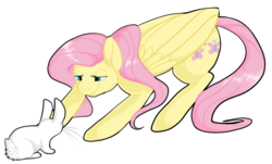 Size: 925x560 | Tagged: safe, artist:catnlp, fluttershy, rabbit, g4, female, solo