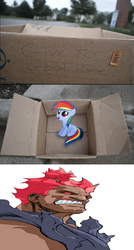 Size: 828x1540 | Tagged: safe, rainbow dash, pegasus, pony, fanfic:my little dashie, g4, akuma, dashie meme, evil people finding dash meme, exploitable meme, meme, street fighter