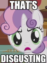 Size: 272x362 | Tagged: safe, sweetie belle, g4, female, image macro, reaction image, solo