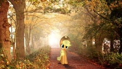 Size: 1920x1080 | Tagged: safe, artist:omarsonic9, applejack, g4, irl, photo, ponies in real life, solo