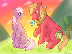Size: 1000x750 | Tagged: safe, artist:rainbowbruises, big macintosh, cheerilee, earth pony, pony, g4, flower, flower in mouth, male, mouth hold, ship:cheerimac, shipping, stallion, straight