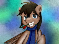 Size: 1032x774 | Tagged: safe, artist:dunnowhattowrite, oc, oc only, oc:moonstar, pony, male, portrait, smiling, solo, stallion