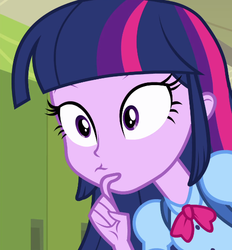 Size: 506x546 | Tagged: safe, screencap, twilight sparkle, equestria girls, g4, female, reaction image, solo