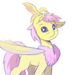 Size: 700x700 | Tagged: safe, artist:jalm, oc, oc only, moth, mothpony, original species, chest fluff, looking at you, ponified, rosy maple moth, simple background, solo, white background