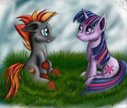 Size: 3000x2550 | Tagged: safe, artist:raedin, twilight sparkle, oc, g4, sitting