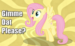 Size: 1440x900 | Tagged: safe, artist:hopeabandoner, fluttershy, g4, female, image macro, reaction image, shadow, solo, text, vector, wallpaper, want