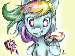 Size: 1024x768 | Tagged: safe, artist:dreubug, rainbow dash, g4, female, solo