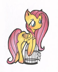 Size: 807x991 | Tagged: safe, artist:dreubug, fluttershy, g4, cage, female, solo