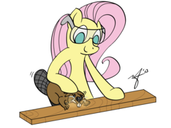 Size: 800x600 | Tagged: safe, artist:stuhp, fluttershy, beaver, g4, carpentry, safety goggles, wood