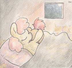 Size: 793x742 | Tagged: safe, artist:slightlyshade, apple bloom, babs seed, g4, sleeping, traditional art